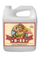 B-52 4L mieszanka witamin Advanced Nutrients