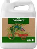 OG Organics™ IGUANA JUICY BLOOM 5L